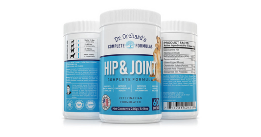 How Hip and Joint Chews Can Benefit Your Dog’s Mobility and Overall Health?