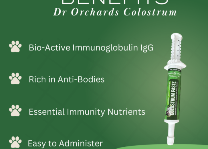 Colostrum Paste - IgG - 30g