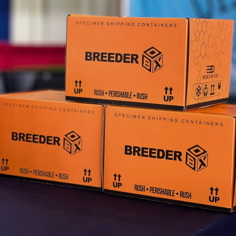 Safe and Secure Semen Shipping with Dr. Orchard's Breeder Box