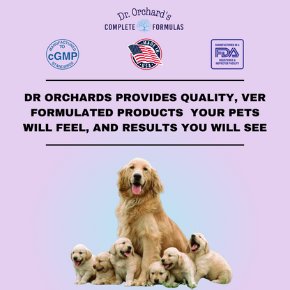Dr. Orchards Pregnancy Pro (Pre+Post Natal Complete Formula-90ct)